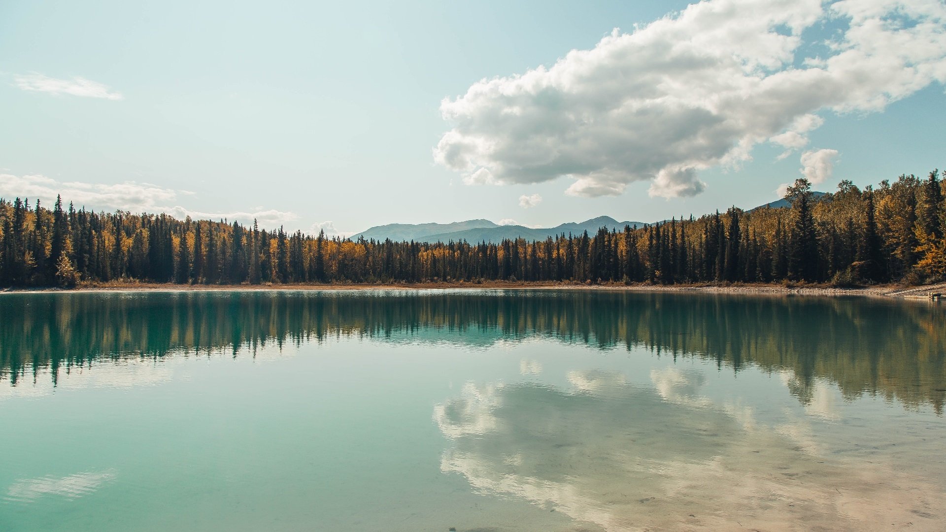 赛道交响曲,雷诺的崛起如何将佩雷兹推向高光,阿斯顿马丁又为何黯然失色