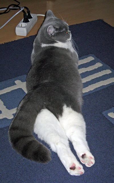 当翻盘的剧本被改写,当统治的定义被重塑,竞技场上唯一的真理