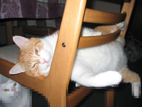 银色闪电撕裂红雾,阿隆索一肩扛起法拉利,轻取梅赛德斯霸业