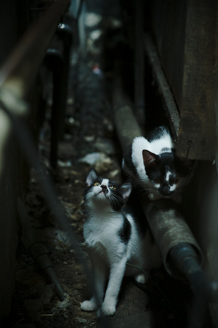 新西兰血拼之旅邂逅足球传奇,阿尔瓦雷斯刷新纪录的比利亚雷亚尔奇遇