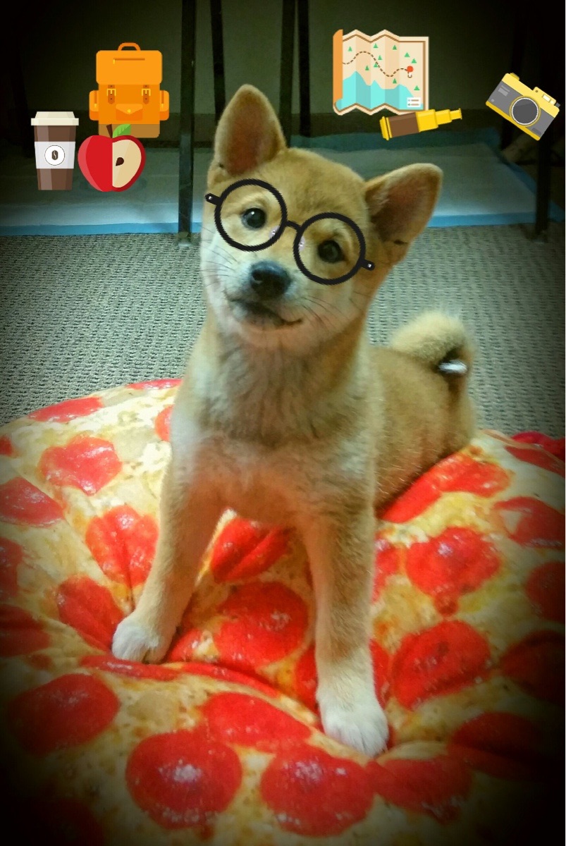 足球的宽度,萨拉赫的统治数据与皇家社会的加时淬炼