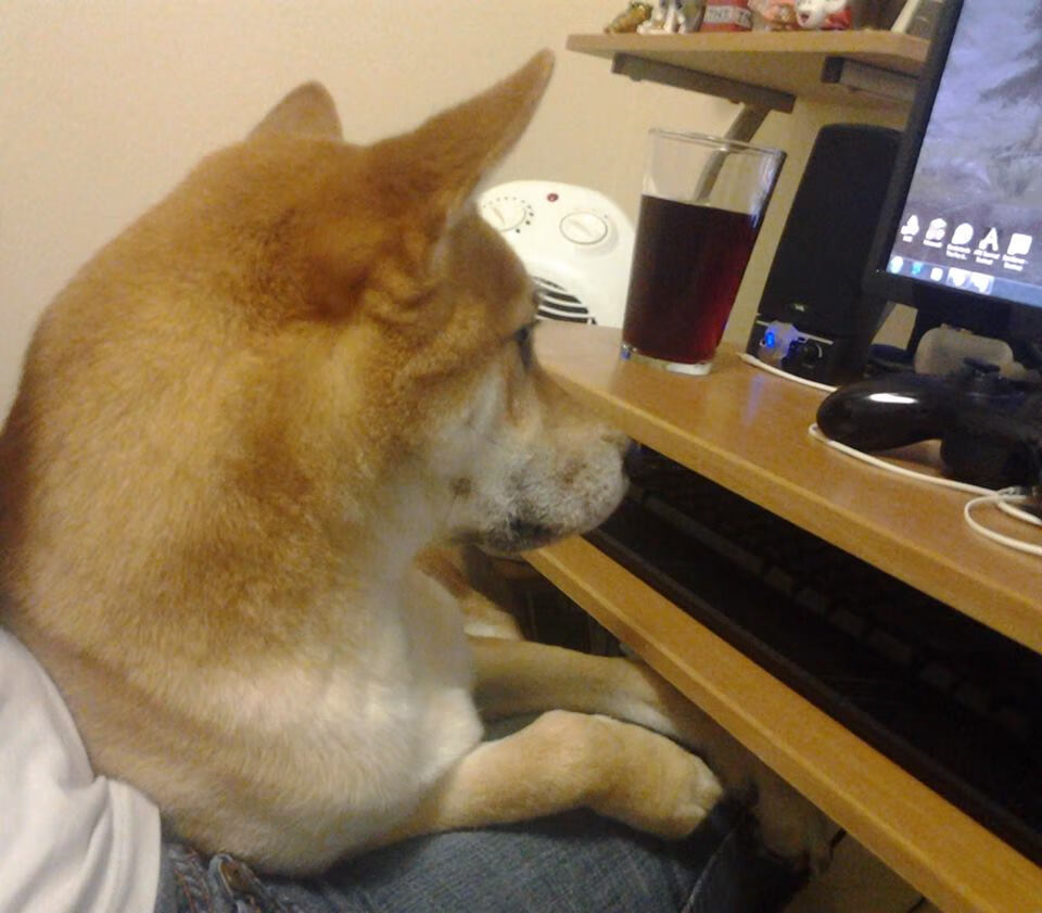 黄金时代的最后回响，当传奇老将主宰关键战役