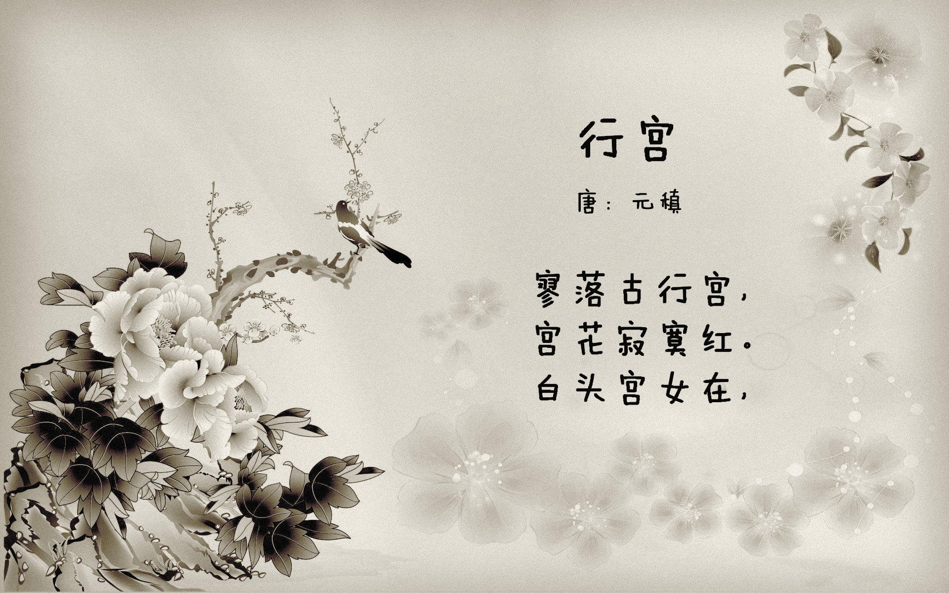 黑金烙印，热火绝境淬炼的决胜局美学