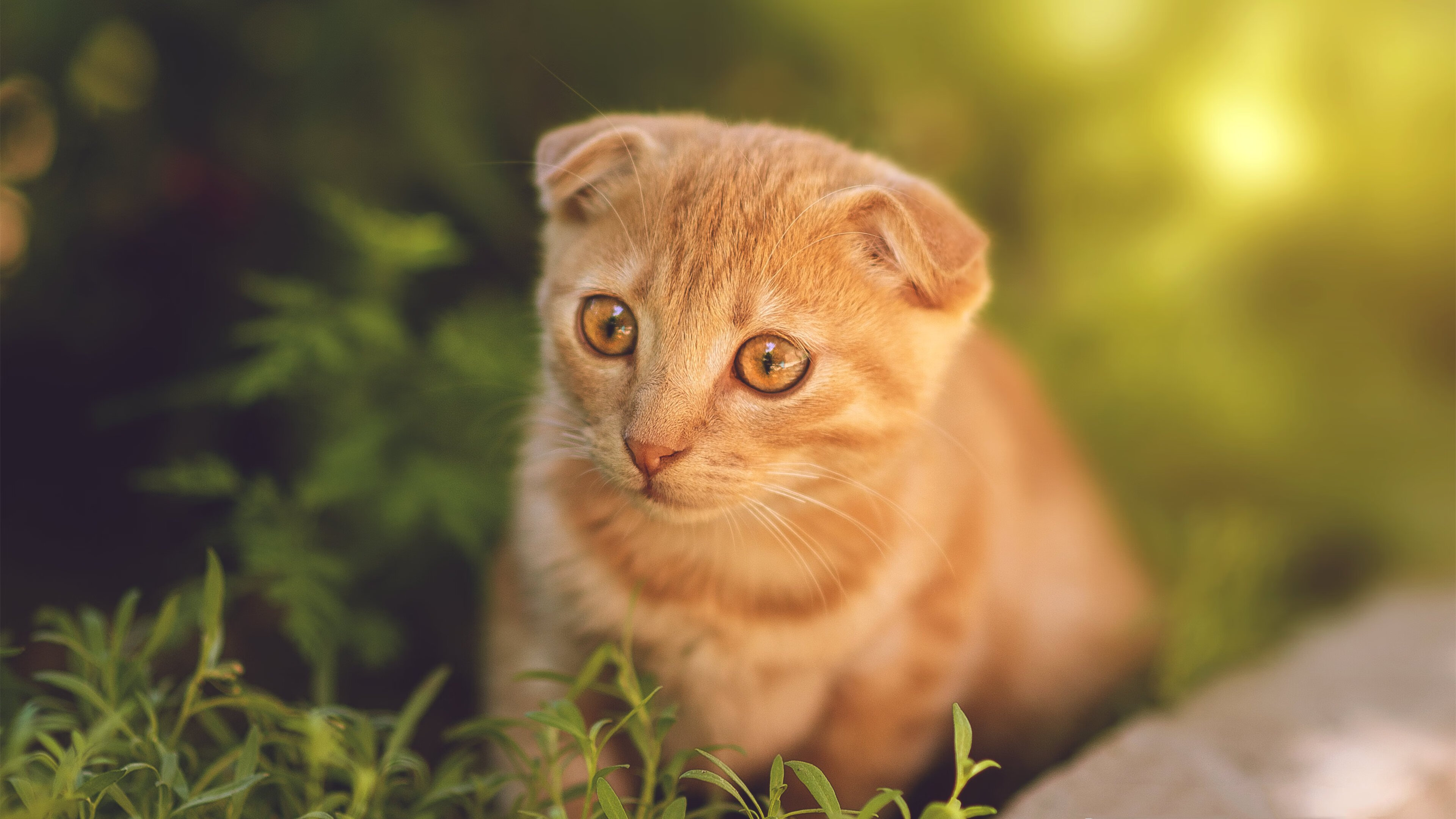 平行宇宙的篮球奇迹，山西队如何冲垮掘金，班凯罗变身关键先生