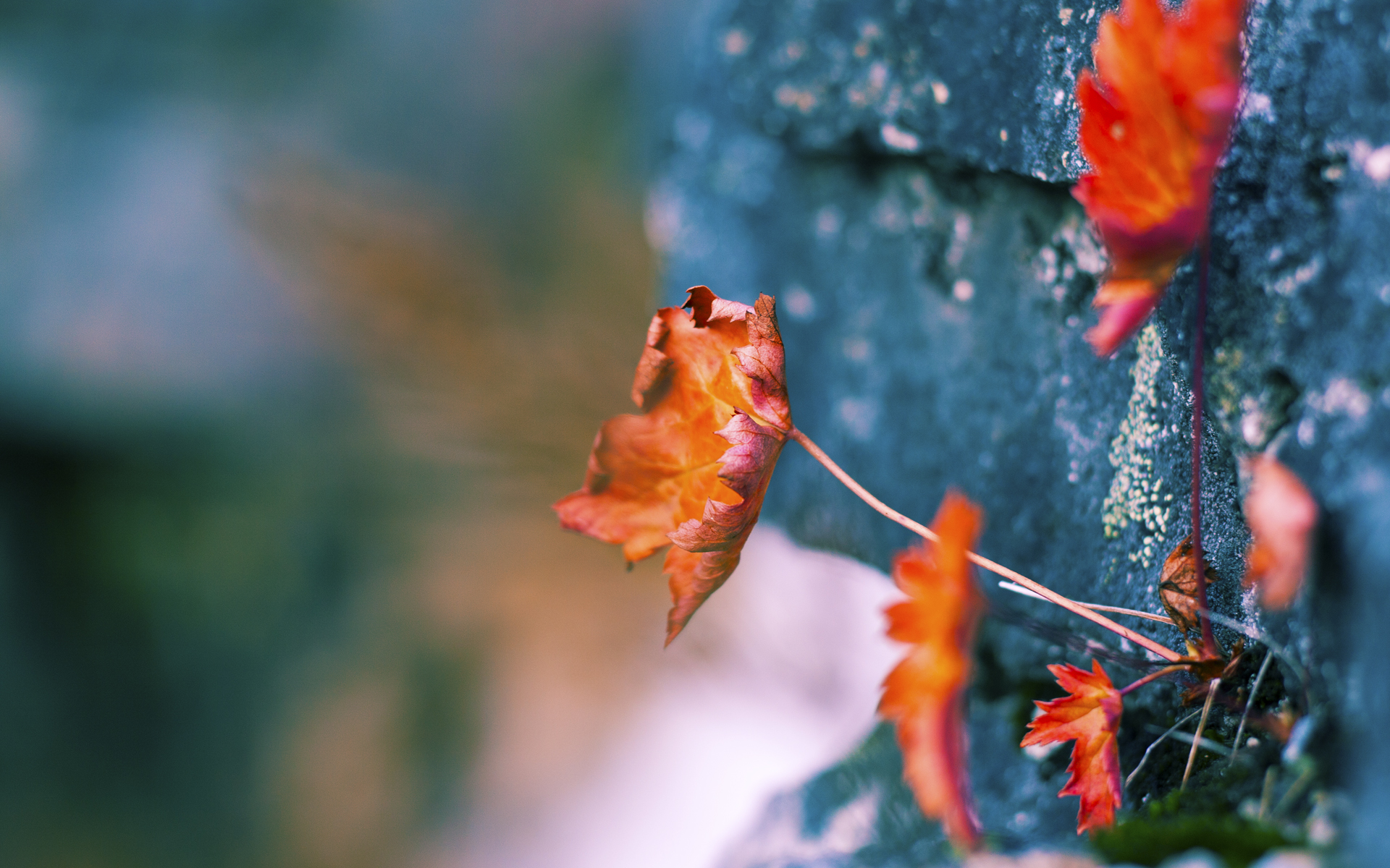 铁血与智慧的较量，乌克兰强压德国，基米希连续得分拉开差距