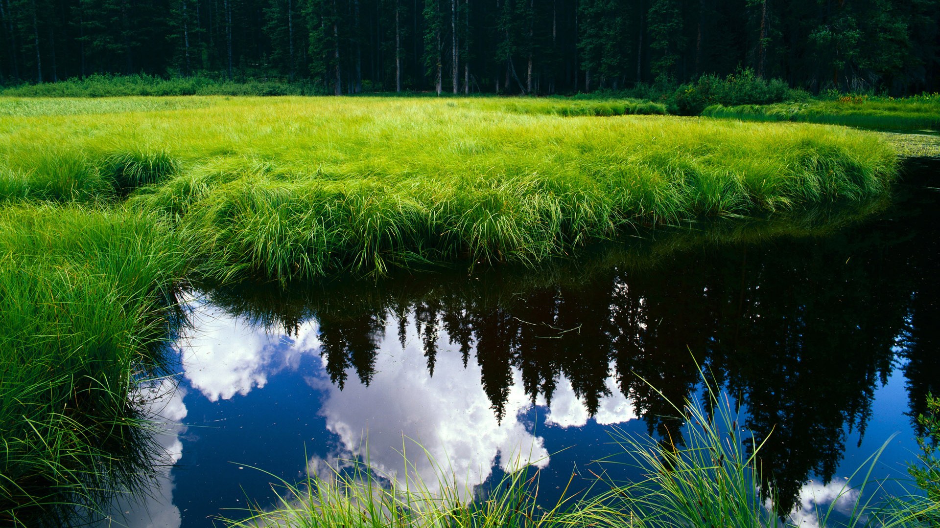 硬仗克敌！中国上海队惊天逆转洛杉矶快船，恩比德化身关键先生