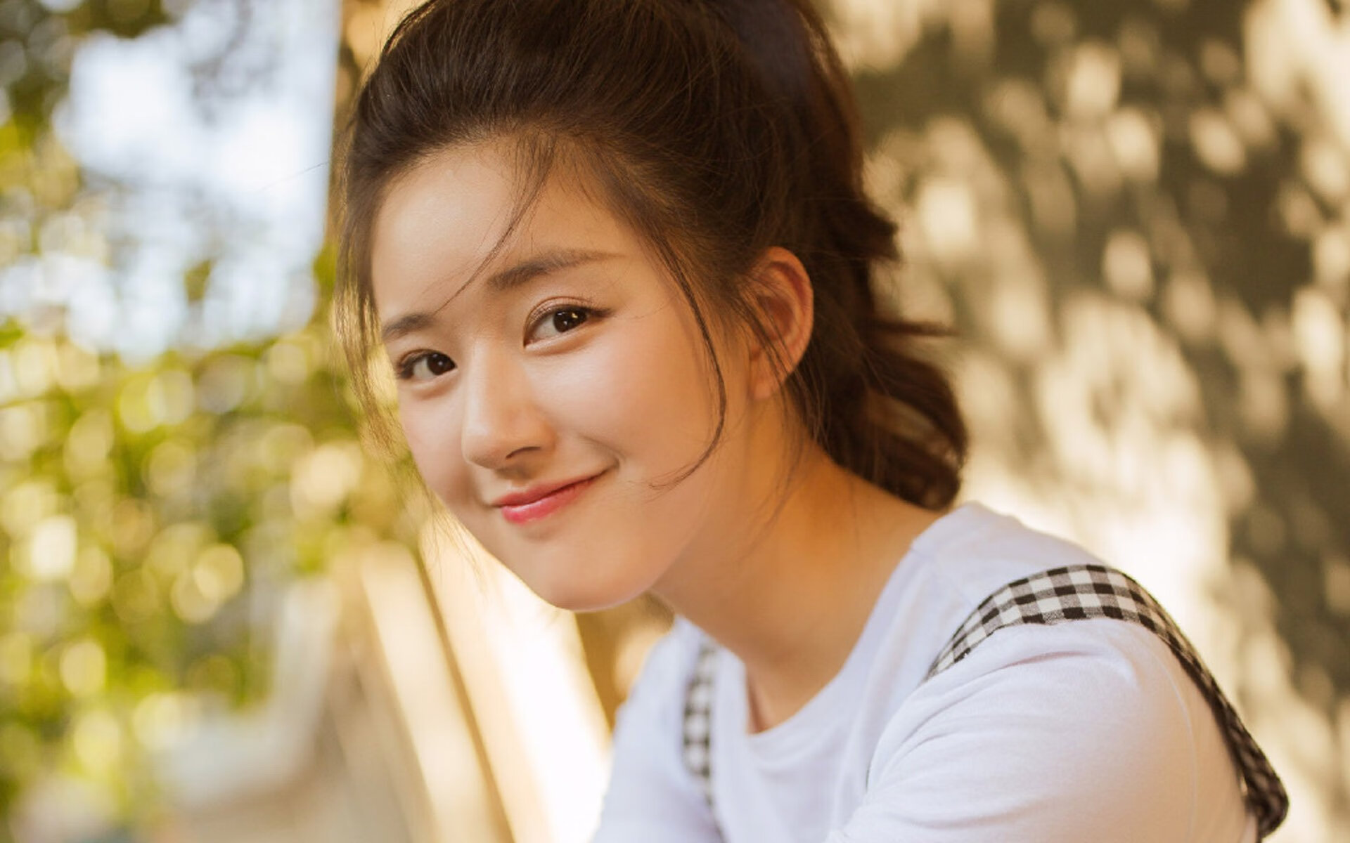 永恒之夜，布雷默在波士顿的冠军之心