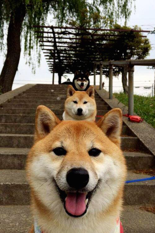 跨界对决，AC米兰迎战克罗地亚，格列兹曼成关键先生