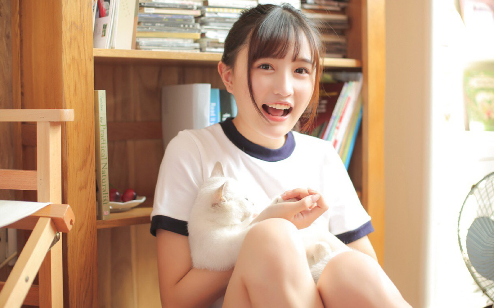 单节封印,抢七夜凯尔特人如何用12分钟改写王朝与悲歌