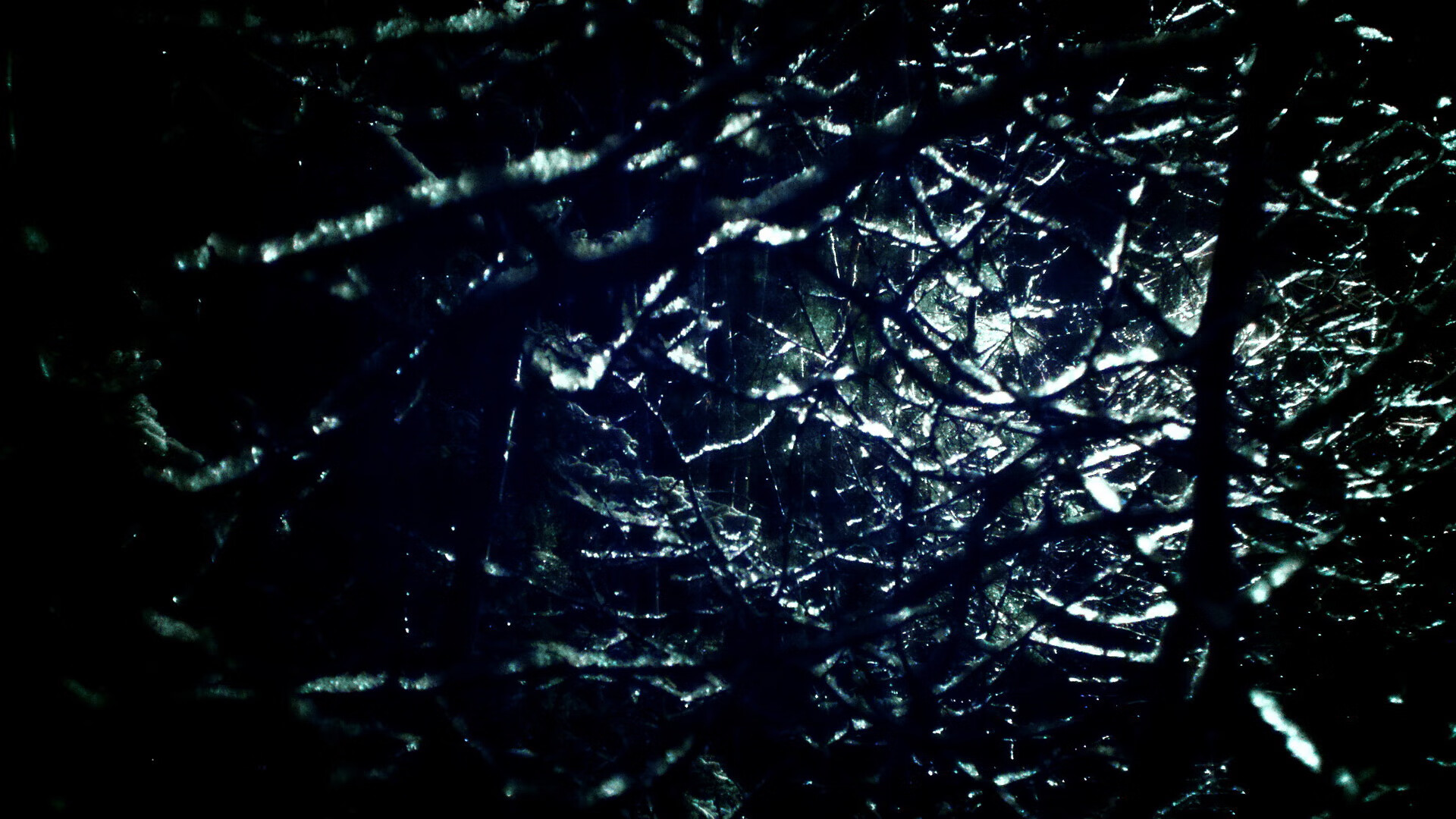 2026世界杯之夜,终场哨未响,西亚卡姆已让悬念在开场时死去