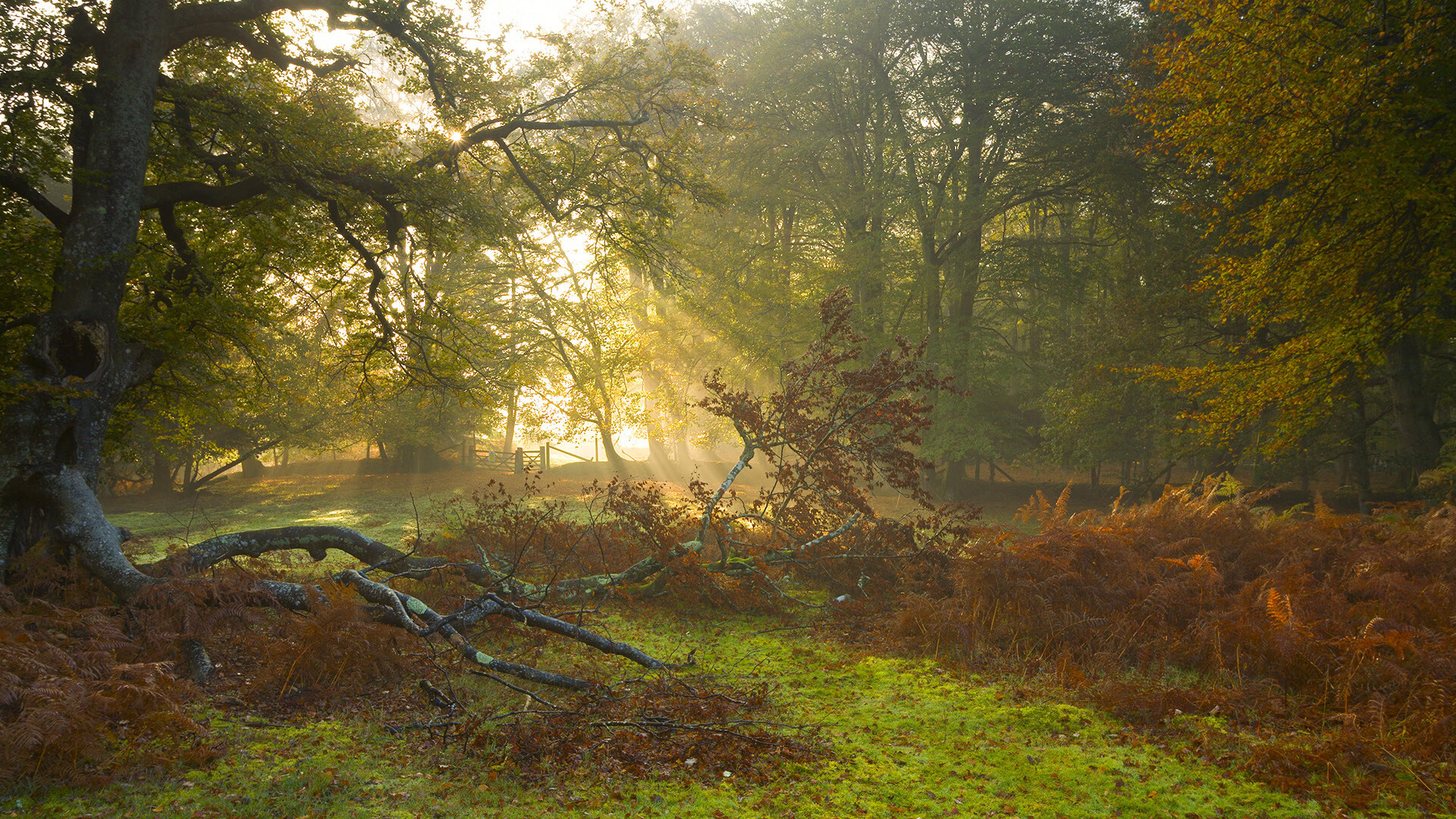 当篮球巨星闯入足球圣地，德罗赞的欧冠决赛里程碑之夜