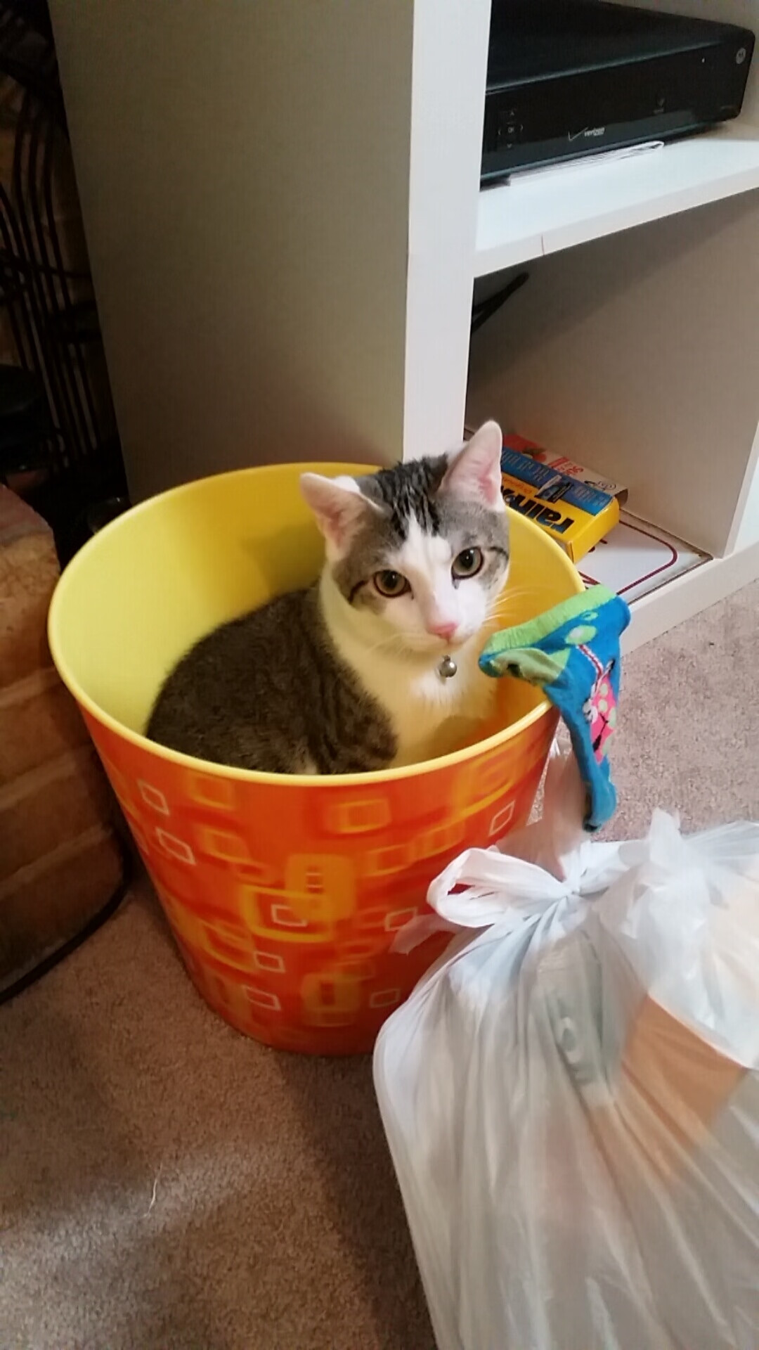 爱游戏-降维打击的唯一性，当开拓者和恩比德同时开启碾压模式