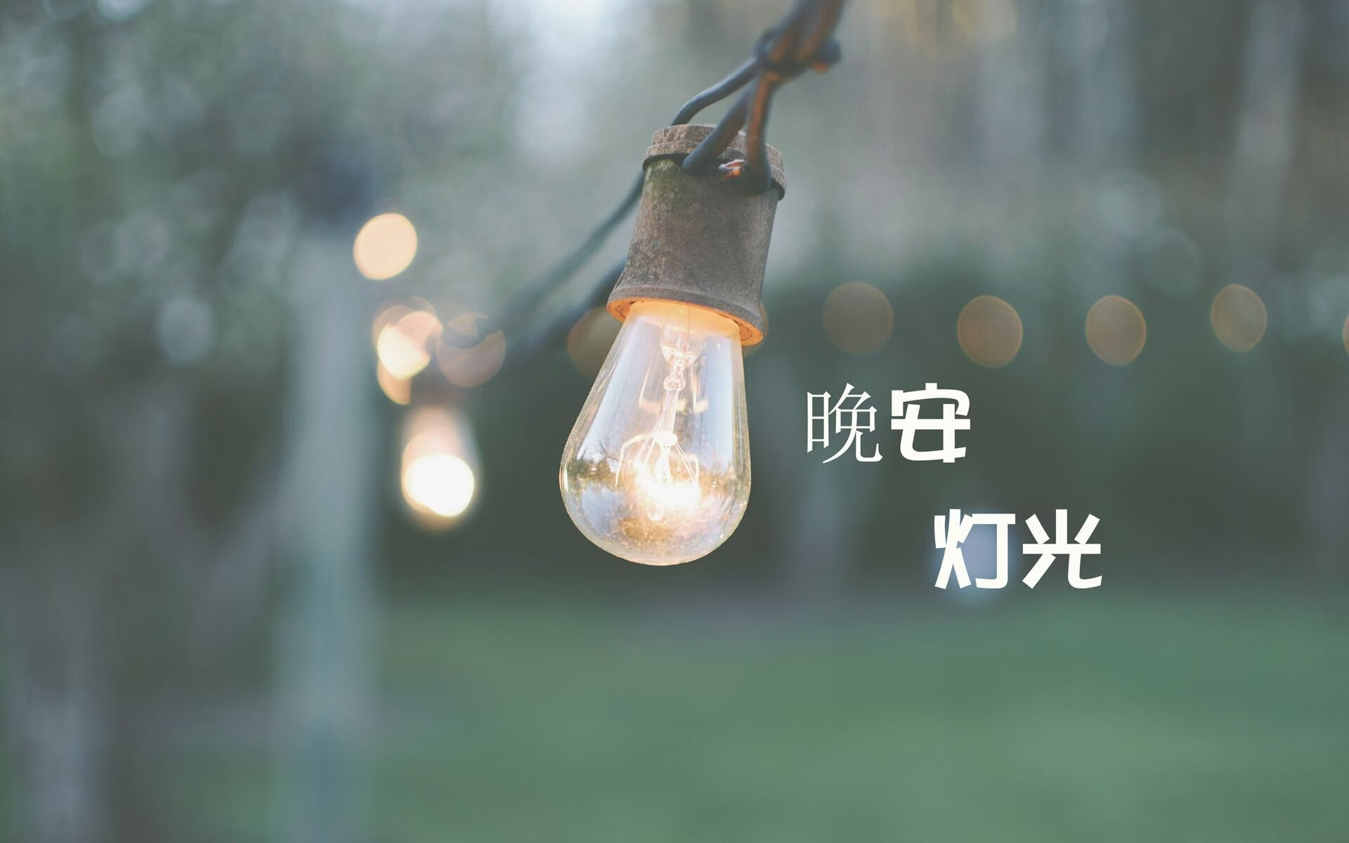 逆转之夜，2026世界杯C组生死战，匈牙利绝地反击掀翻德国战车，孙兴慜独造三球封神