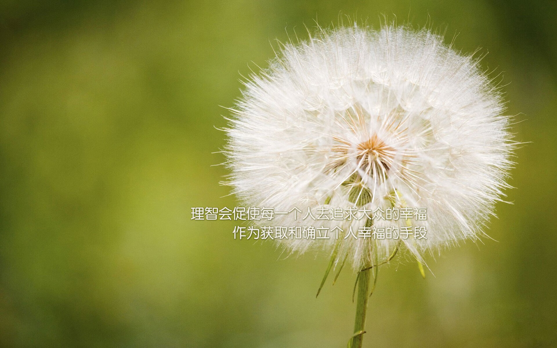 沉默的日耳曼战车，当匈牙利在2026世界杯C组写下压制的另一种注脚