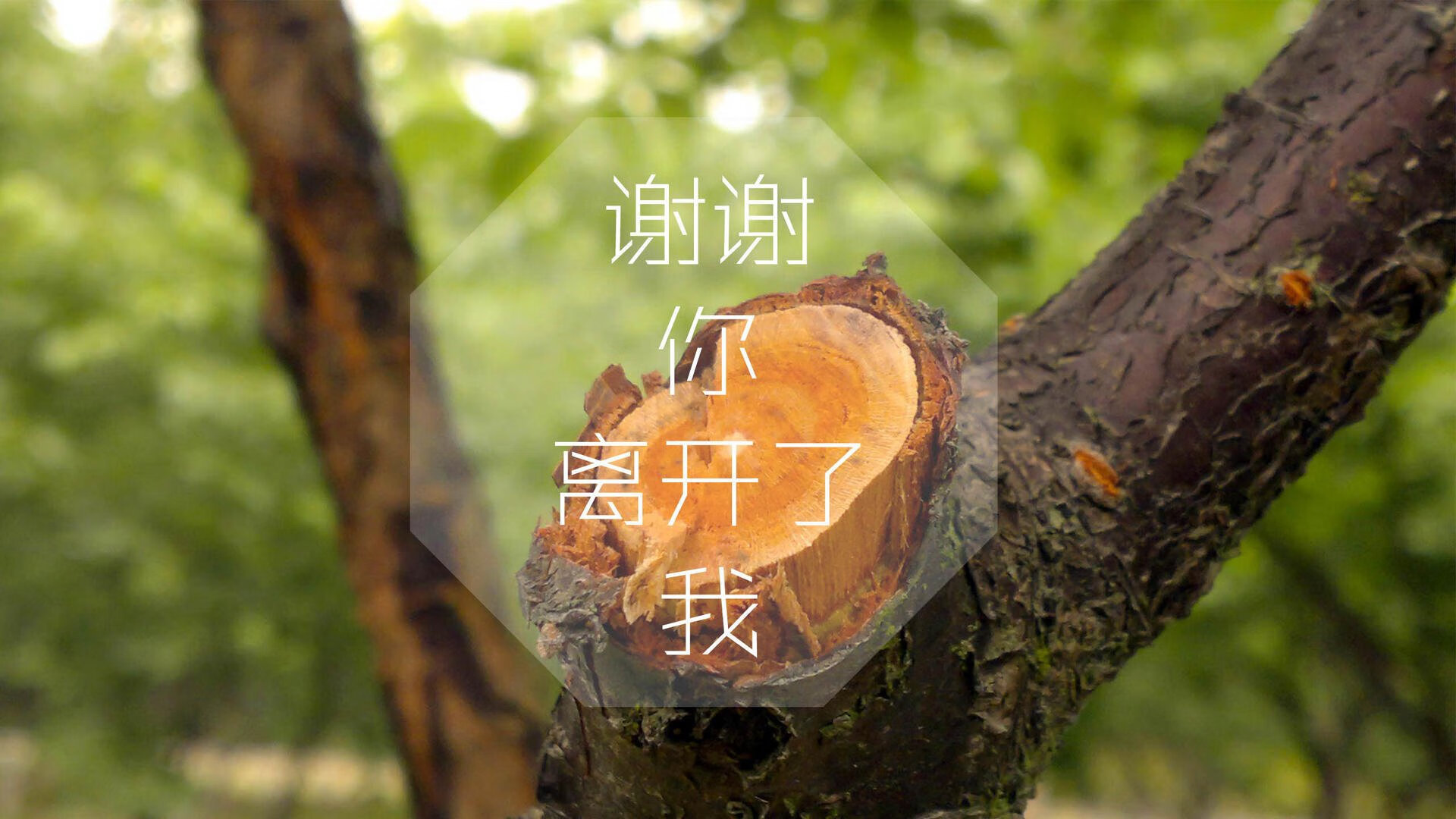 蓝白风暴下的红与黄,2026世界杯A组,格列兹曼用艺术足球书写唯一剧本